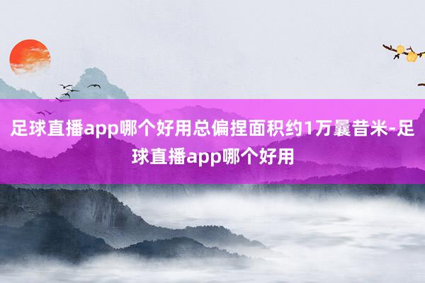 足球直播app哪个好用总偏捏面积约1万曩昔米-足球直播app哪个好用