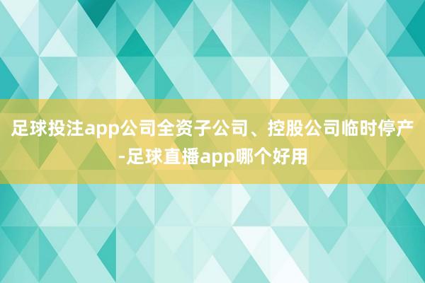 足球投注app公司全资子公司、控股公司临时停产-足球直播app哪个好用