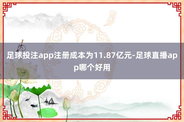 足球投注app注册成本为11.87亿元-足球直播app哪个好用