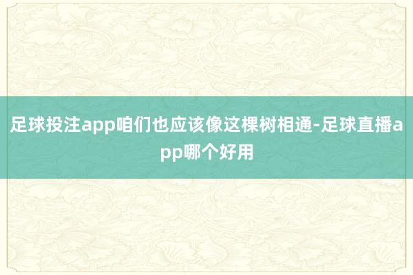 足球投注app咱们也应该像这棵树相通-足球直播app哪个好用