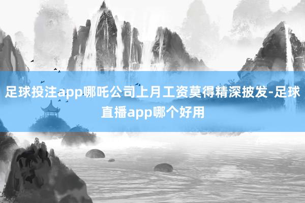 足球投注app哪吒公司上月工资莫得精深披发-足球直播app哪个好用