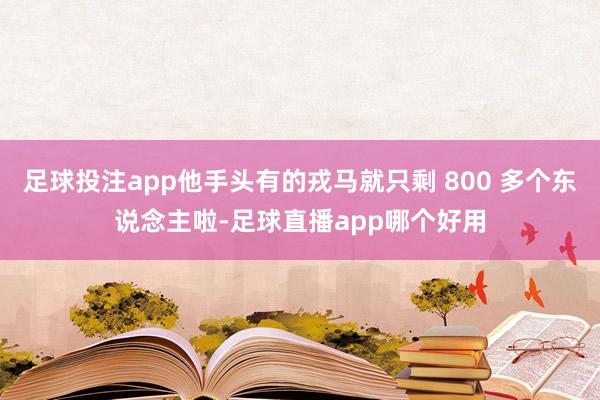 足球投注app他手头有的戎马就只剩 800 多个东说念主啦-足球直播app哪个好用