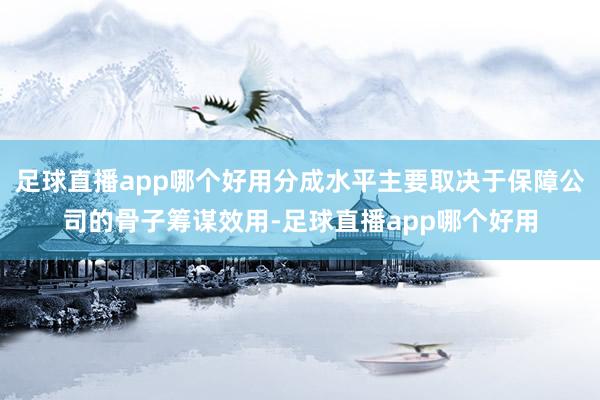 足球直播app哪个好用分成水平主要取决于保障公司的骨子筹谋效用-足球直播app哪个好用