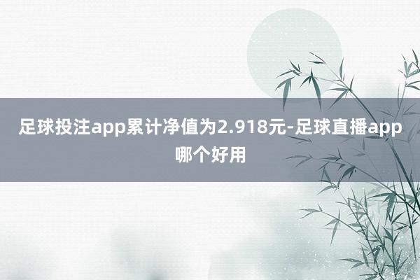 足球投注app累计净值为2.918元-足球直播app哪个好用