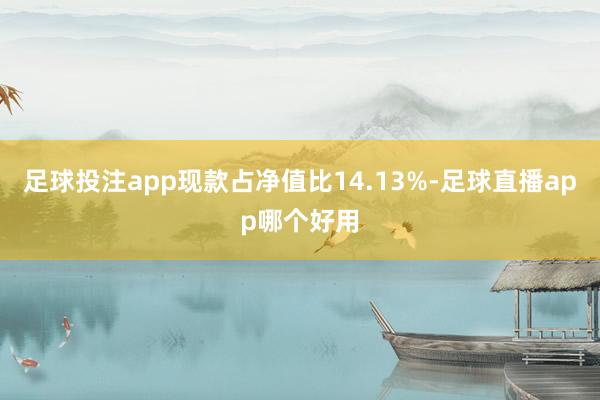 足球投注app现款占净值比14.13%-足球直播app哪个好用