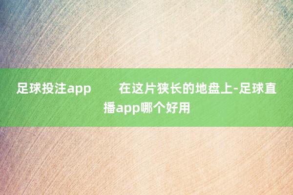 足球投注app        在这片狭长的地盘上-足球直播app哪个好用