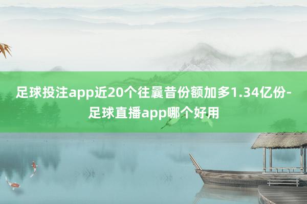 足球投注app近20个往曩昔份额加多1.34亿份-足球直播app哪个好用