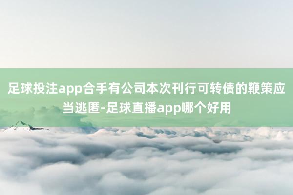 足球投注app合手有公司本次刊行可转债的鞭策应当逃匿-足球直播app哪个好用