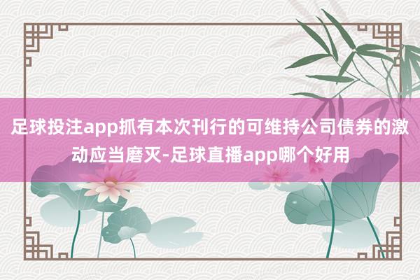 足球投注app抓有本次刊行的可维持公司债券的激动应当磨灭-足球直播app哪个好用