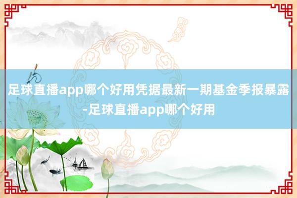 足球直播app哪个好用凭据最新一期基金季报暴露-足球直播app哪个好用