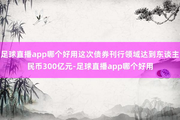 足球直播app哪个好用这次债券刊行领域达到东谈主民币300亿元-足球直播app哪个好用