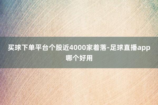 买球下单平台个股近4000家着落-足球直播app哪个好用