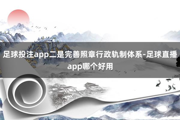 足球投注app二是完善照章行政轨制体系-足球直播app哪个好用