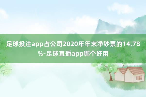 足球投注app占公司2020年年末净钞票的14.78%-足球直播app哪个好用