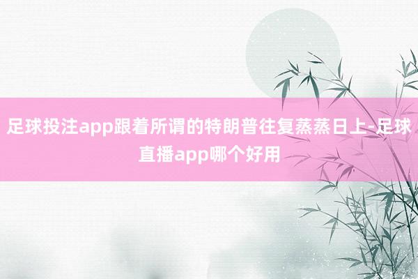 足球投注app跟着所谓的特朗普往复蒸蒸日上-足球直播app哪个好用