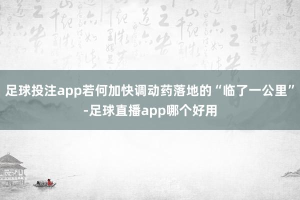 足球投注app若何加快调动药落地的“临了一公里”-足球直播app哪个好用