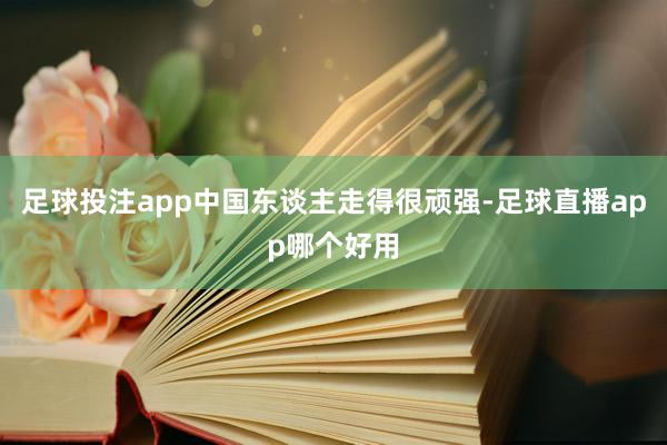 足球投注app中国东谈主走得很顽强-足球直播app哪个好用