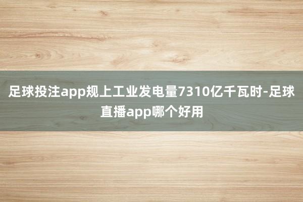 足球投注app规上工业发电量7310亿千瓦时-足球直播app哪个好用