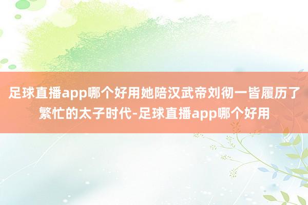 足球直播app哪个好用她陪汉武帝刘彻一皆履历了繁忙的太子时代-足球直播app哪个好用