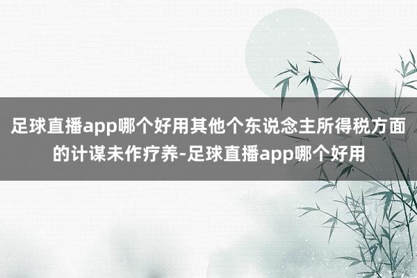 足球直播app哪个好用其他个东说念主所得税方面的计谋未作疗养-足球直播app哪个好用