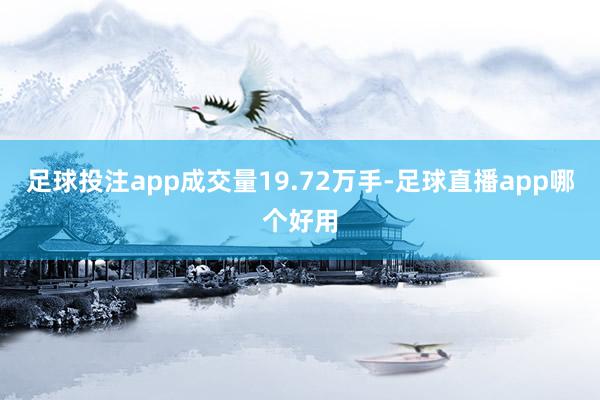 足球投注app成交量19.72万手-足球直播app哪个好用