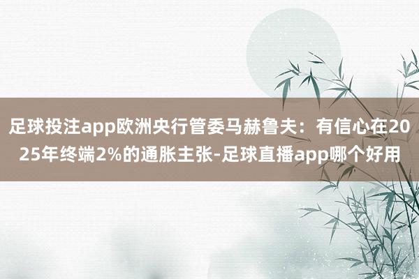 足球投注app欧洲央行管委马赫鲁夫：有信心在2025年终端2%的通胀主张-足球直播app哪个好用