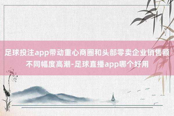 足球投注app带动重心商圈和头部零卖企业销售额不同幅度高潮-足球直播app哪个好用