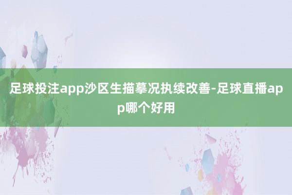 足球投注app沙区生描摹况执续改善-足球直播app哪个好用