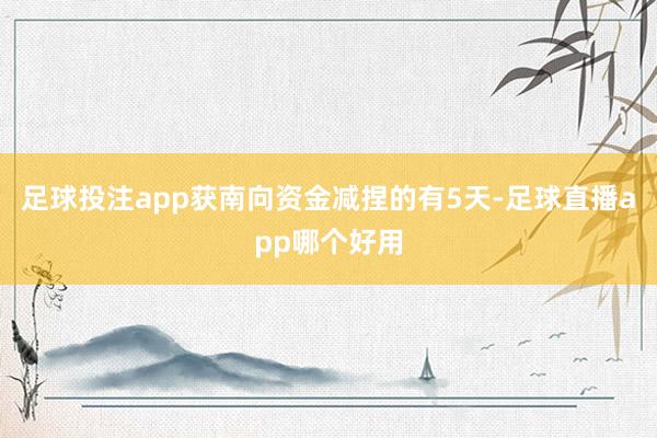 足球投注app获南向资金减捏的有5天-足球直播app哪个好用