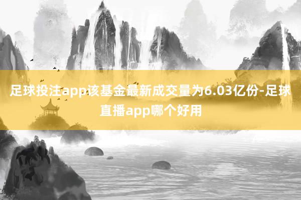 足球投注app该基金最新成交量为6.03亿份-足球直播app哪个好用