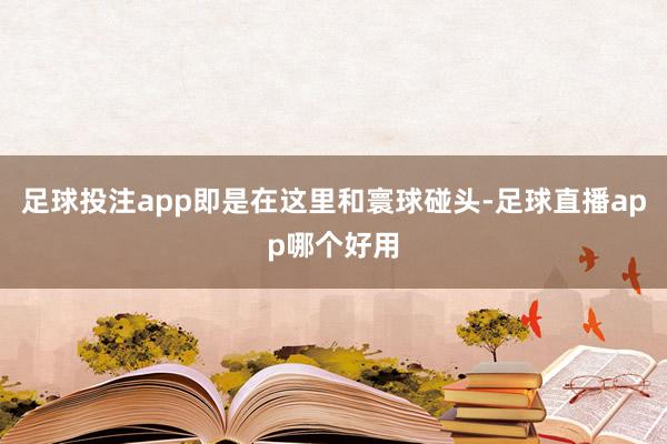 足球投注app即是在这里和寰球碰头-足球直播app哪个好用