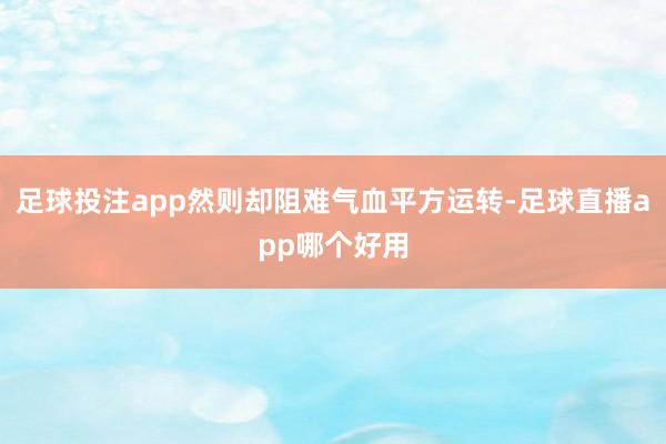 足球投注app然则却阻难气血平方运转-足球直播app哪个好用