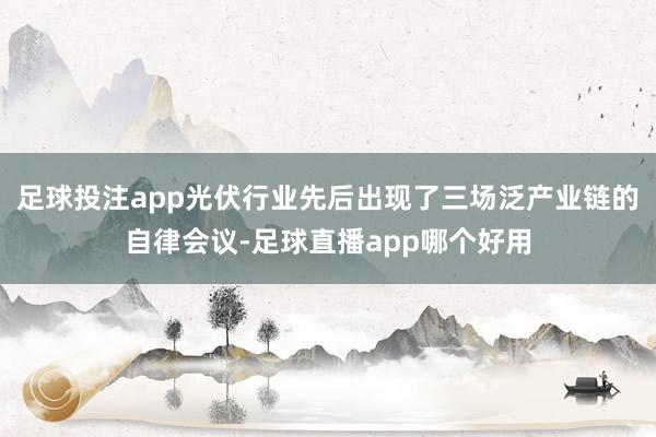 足球投注app光伏行业先后出现了三场泛产业链的自律会议-足球直播app哪个好用