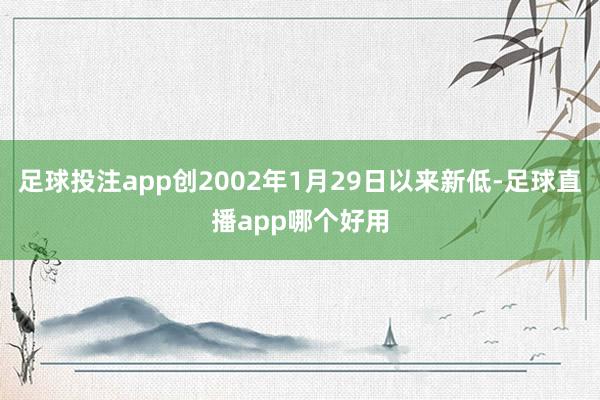 足球投注app创2002年1月29日以来新低-足球直播app哪个好用