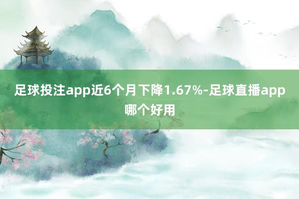 足球投注app近6个月下降1.67%-足球直播app哪个好用