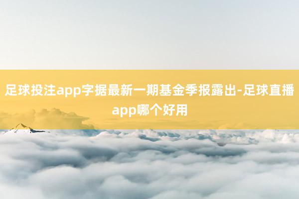 足球投注app字据最新一期基金季报露出-足球直播app哪个好用