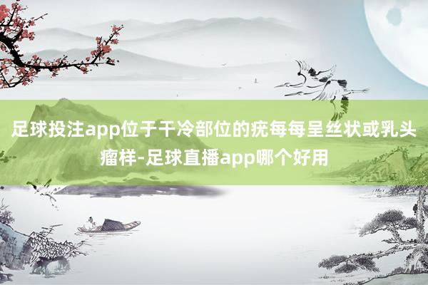 足球投注app位于干冷部位的疣每每呈丝状或乳头瘤样-足球直播app哪个好用