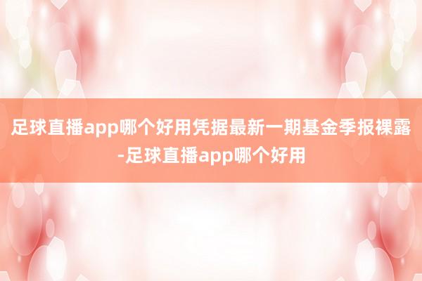 足球直播app哪个好用凭据最新一期基金季报裸露-足球直播app哪个好用