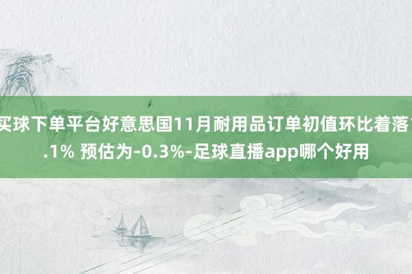 买球下单平台好意思国11月耐用品订单初值环比着落1.1% 预估为-0.3%-足球直播app哪个好用