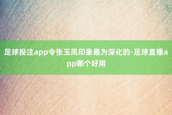 足球投注app令张玉凤印象最为深化的-足球直播app哪个好用