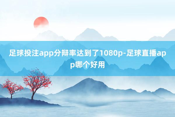 足球投注app分辩率达到了1080p-足球直播app哪个好用