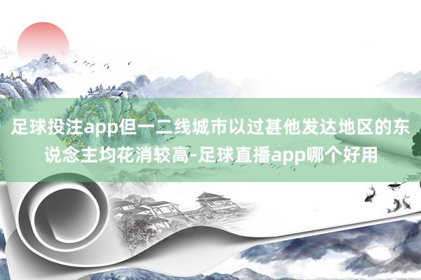 足球投注app但一二线城市以过甚他发达地区的东说念主均花消较高-足球直播app哪个好用