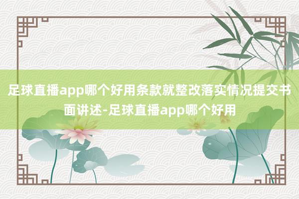 足球直播app哪个好用条款就整改落实情况提交书面讲述-足球直播app哪个好用