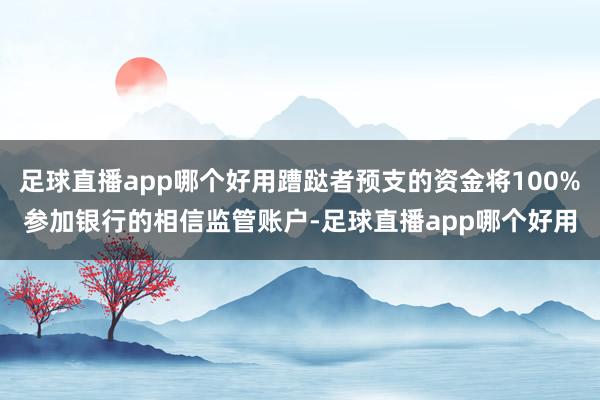 足球直播app哪个好用蹧跶者预支的资金将100%参加银行的相信监管账户-足球直播app哪个好用