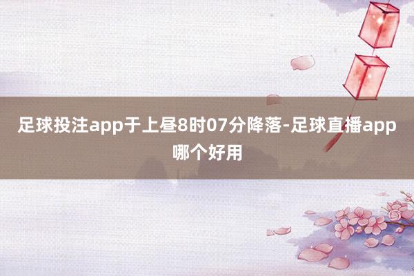 足球投注app于上昼8时07分降落-足球直播app哪个好用